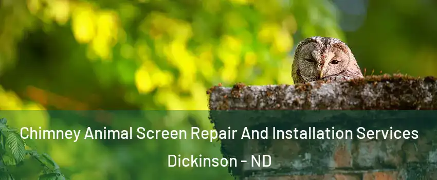  Chimney Animal Screen Repair And Installation Services Dickinson - ND