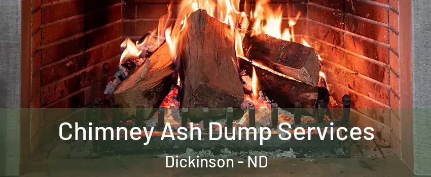 Chimney Ash Dump Services Dickinson - ND