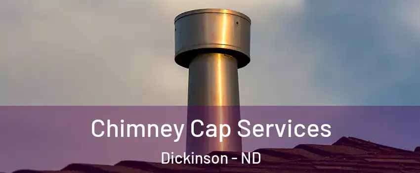  Chimney Cap Services Dickinson - ND