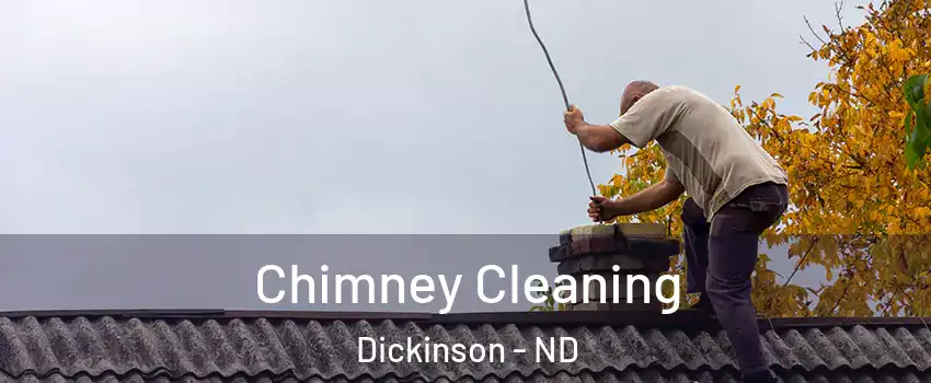  Chimney Cleaning Dickinson - ND