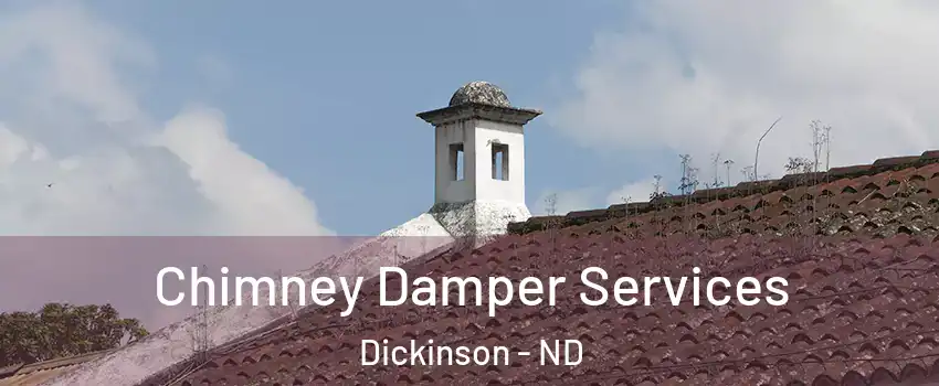  Chimney Damper Services Dickinson - ND
