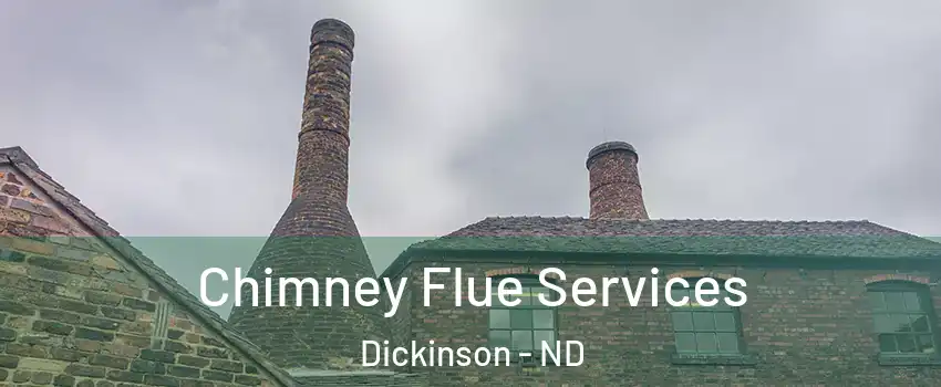  Chimney Flue Services Dickinson - ND