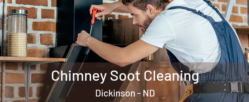 Chimney Soot Cleaning Dickinson - ND