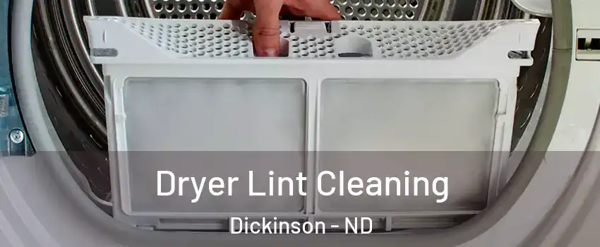  Dryer Lint Cleaning Dickinson - ND