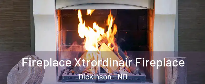  Fireplace Xtrordinair Fireplace Dickinson - ND