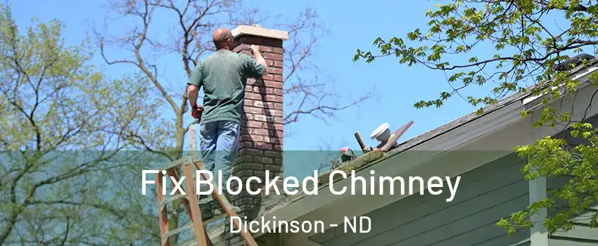  Fix Blocked Chimney Dickinson - ND