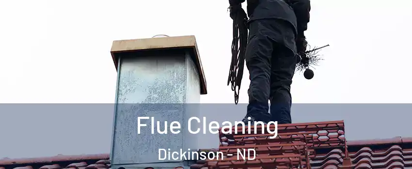  Flue Cleaning Dickinson - ND