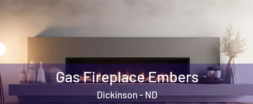  Gas Fireplace Embers Dickinson - ND