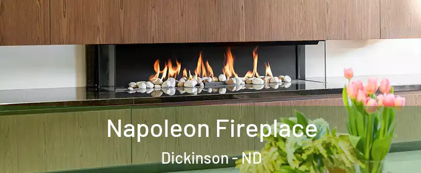  Napoleon Fireplace Dickinson - ND